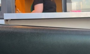 Pumpkin Spice Latte in a Pumpkin