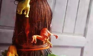 Dinosaur Volcano For Crazy Hair Day