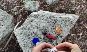 Sodium Reaction With Water Demonstration