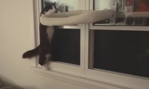 That’s One Way to Close a Window