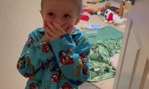 Toddler's First Sleepover