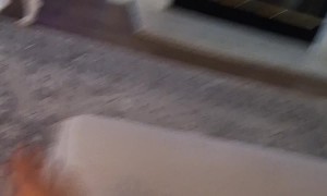 Never Put Dog Toys On The Mantle