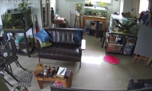 Philippines Earthquake Rattles Fish Tanks