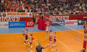 Opossum Interrupts Brazilian Volleyball Championship