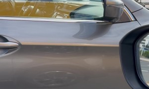 Long Island Fever Dream