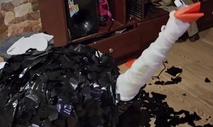 Kiddo in an Ostrich Costume