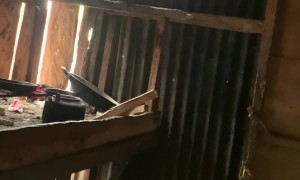 Sitting Inside During the Earthquake in Mindanao