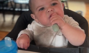 Baby Spits Out Mac and Cheese