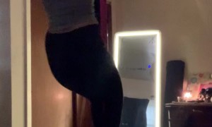 Pole Dancing Cat Makes the Best Pole Dancing Partner