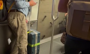 Malfunctioning Train Runs With Open Doors