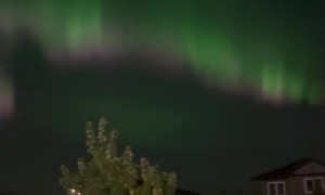 Witnessing the Magic of the Northern Lights