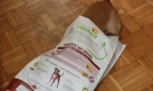 What About Second Breakfast?