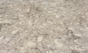 Pepper in the Halloween Spirit