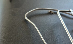 Spider Stalks a Fly and Husband Is Dehydrated