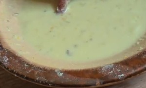 Baby Armadillo Stands In Feast