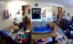 Kitten Turns Calisthenics Into Playtime