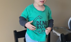 Learning What's Inside A Pumpkin