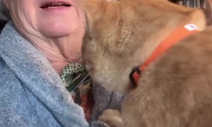 Pumpkin Team Provides Excellent Physical Therapy for Cancer Patient