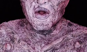 Count Dracula Transformation