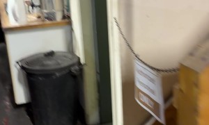 Scaring My Workmate Everyday