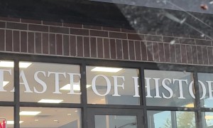 Dog Smells Meat Nearby