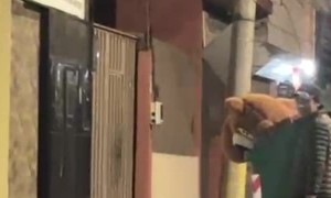 Rescuing a Giant Teddy Bear From the Garbage