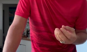 Addressing Avocado Pit Concerns