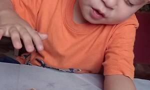 Boy Prays Over Dying Chick