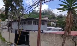 Sloth Rescue From Powerlines