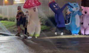 Inflatable Pikachu and Frog Embrace During Portland Protests