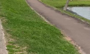 Woman Waves and Crashes Electric Scooter