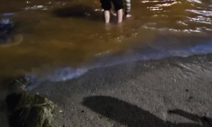 Grandson Freaked Out by Blue Sea Sparkle