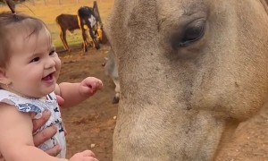 Baby Loves Horse