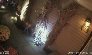 Amazon Delivery Driver Spooked By Halloween Decorations