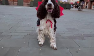 Bonnie Said Boo! Are You Scared Now?