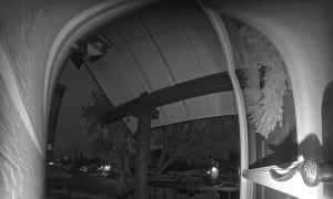 Doorbell Camera Catches Cat Thief Stealing Sunglasses