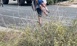 Big Brother Carries His Little Sister Home