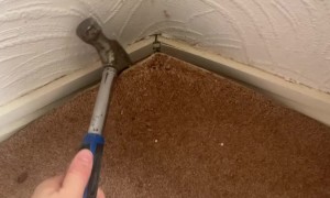 What's Under the Carpet