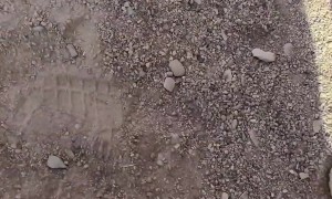 Stock Saddle Bronc Ride