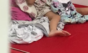 Old Sister Uses Saliva to Comb Her Sister's Hair