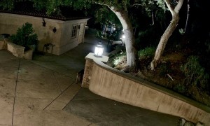 Bradbury Mountain Lion