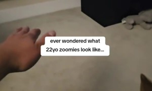 22 Year Old Dog Has Joyful Zoomies