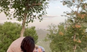 Parrot Climbs in Girl's Hair