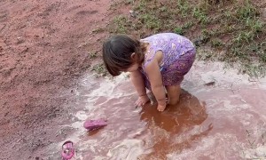 Maximum Fun In Mud Puddle