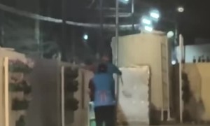 Employees Paddle Their Way To Workspace Fun