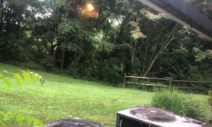 Grizzly Bear Man Chases Black Bear Off Property