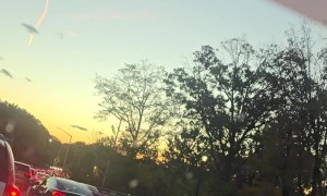 Rare Daylight Comet Spotted Flying Over New York City