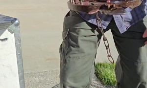 Man Closes Forearm in Wolverine Trap