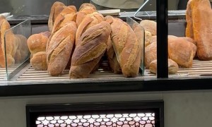 Rat Climbs Inside Bakery Display Case