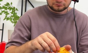 Man Uses Dog's Toes To Hold Chips